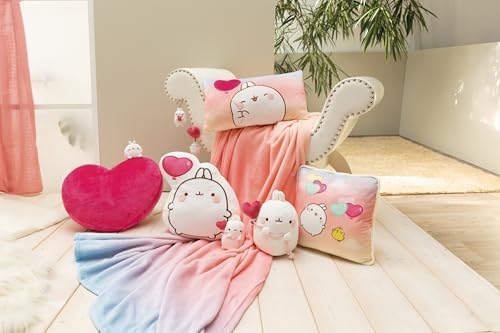 Vue 4 de Porteclés Molang