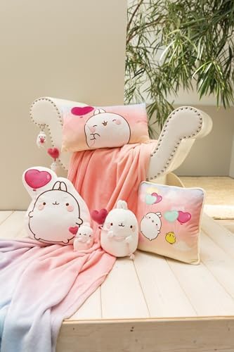 Vue 5 de Porteclés Molang