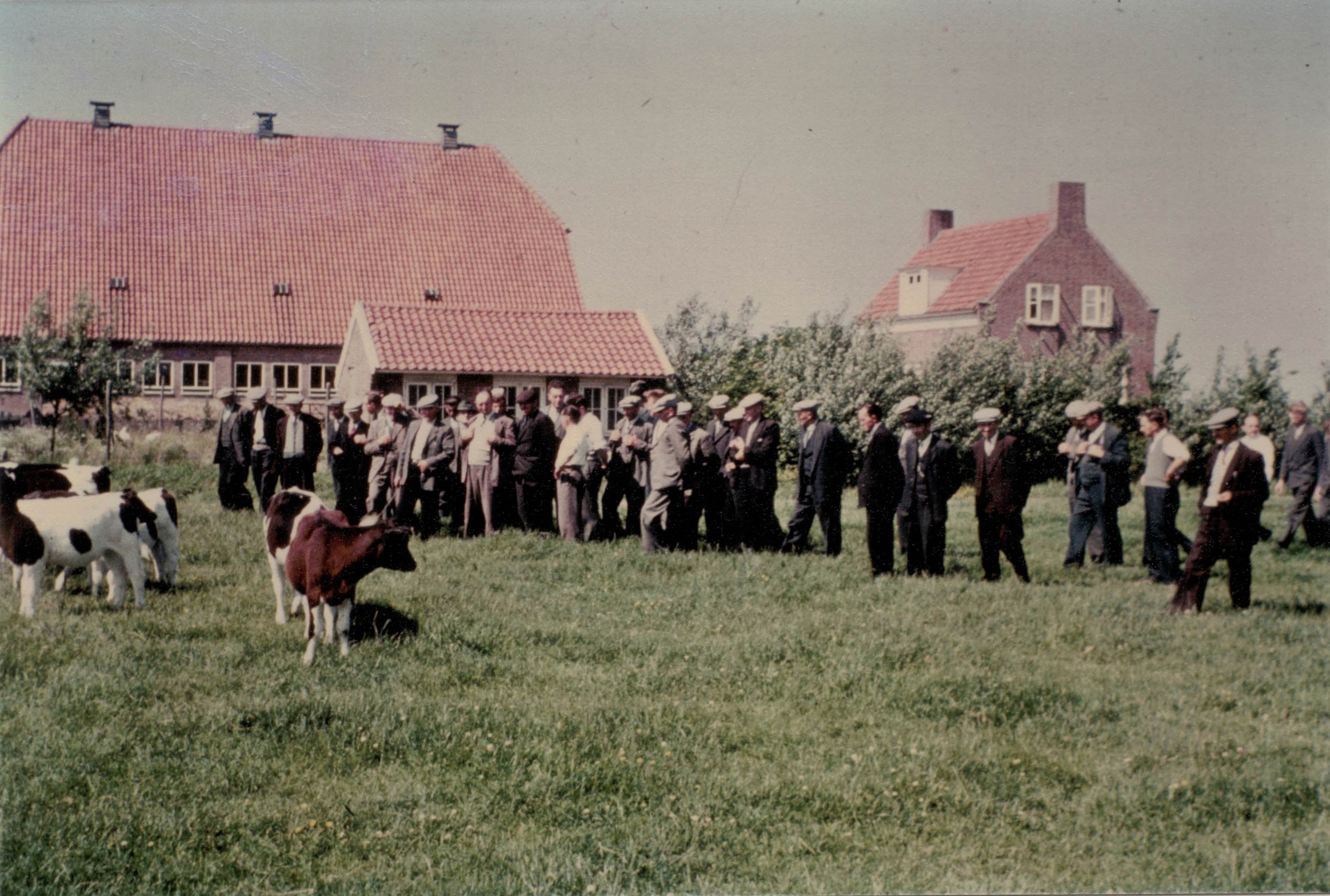 Start Melkveebedrijf