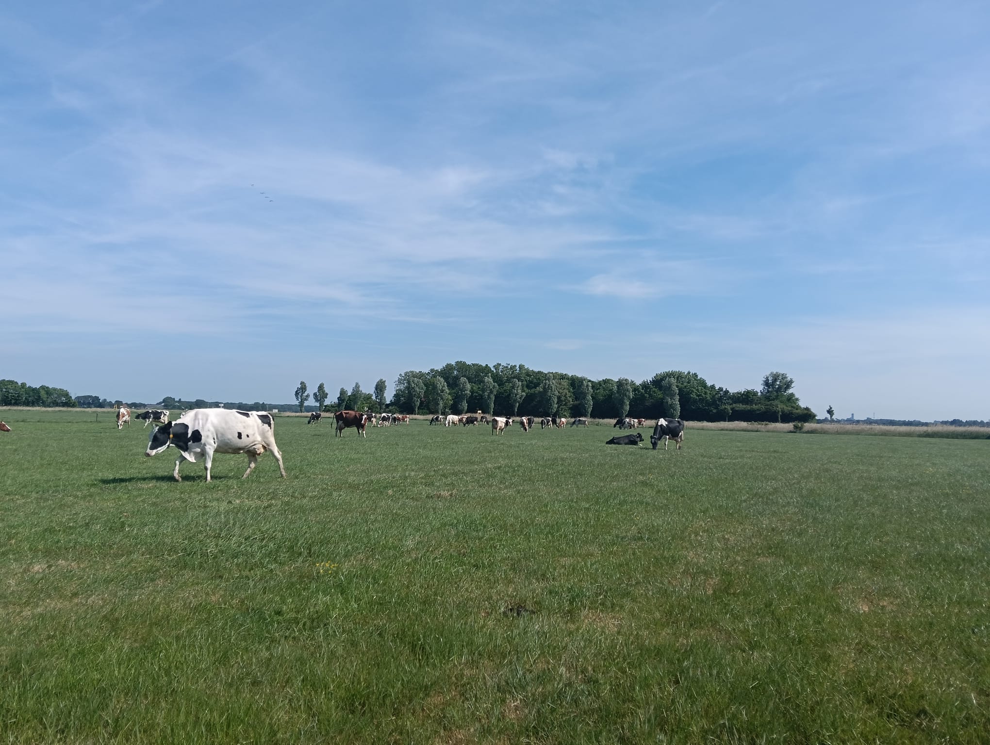 Fietsroute door Walcheren