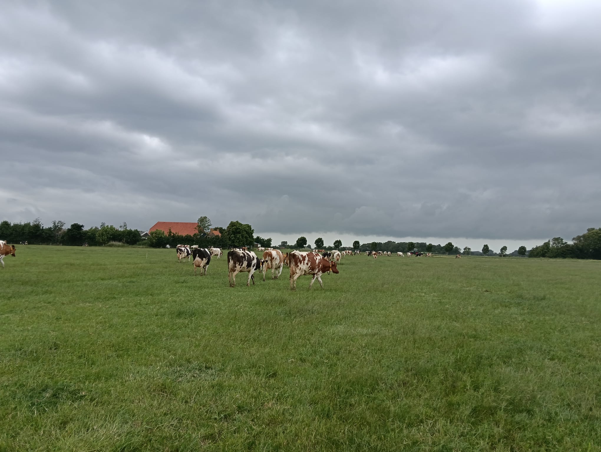 Schelpenpad bij de camping