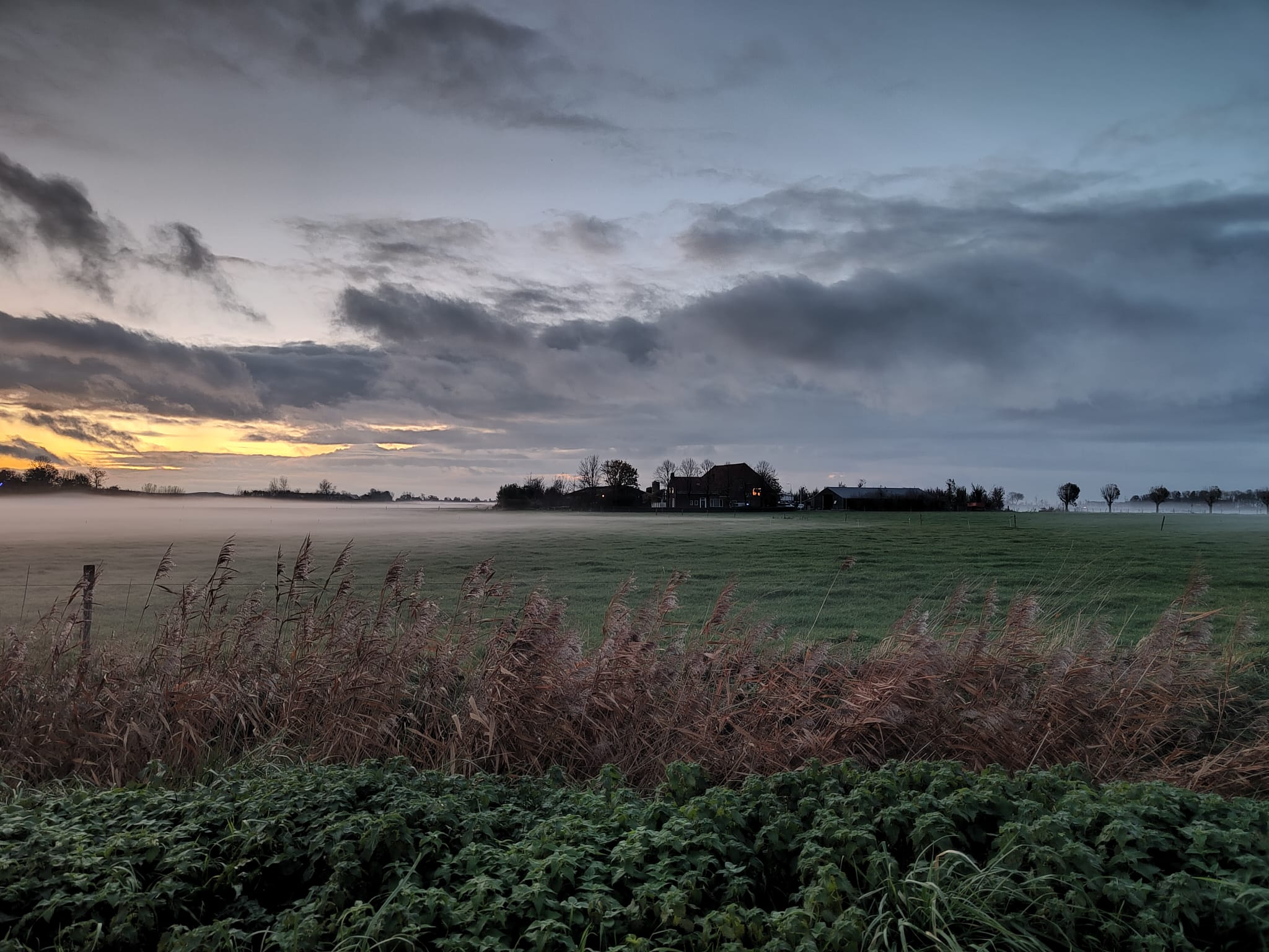 Uitzicht vanaf de dijk