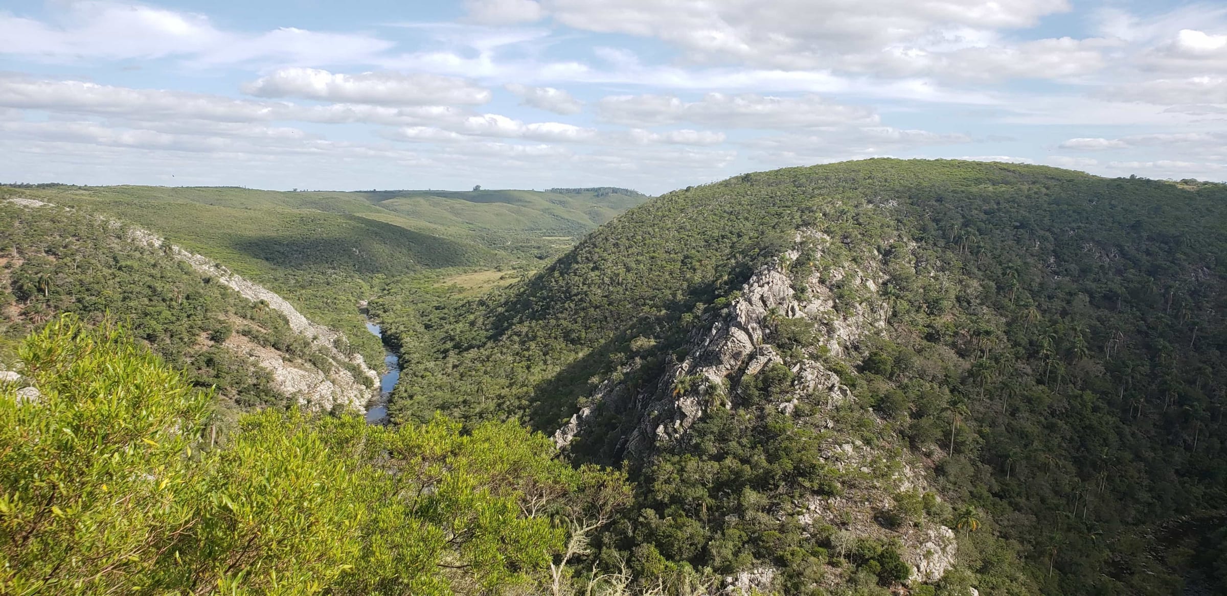 Equipo de trabajo artesanal en contacto con la naturaleza