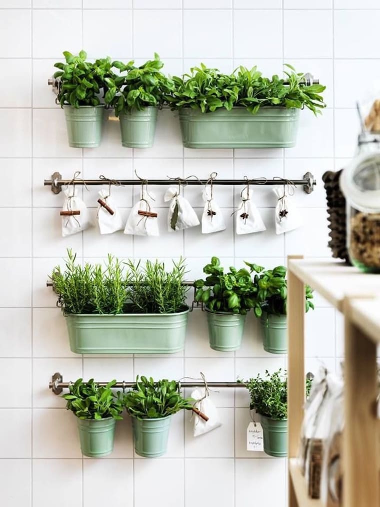 Cómo revalorizar las plantas de Uruguay desde tu cocina