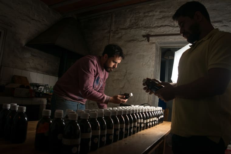 Gin artesanal vs. gin industrial: lo que nadie te cuenta