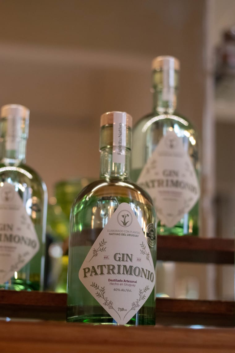 Gin Patrimonio: un homenaje líquido al bosque uruguayo
