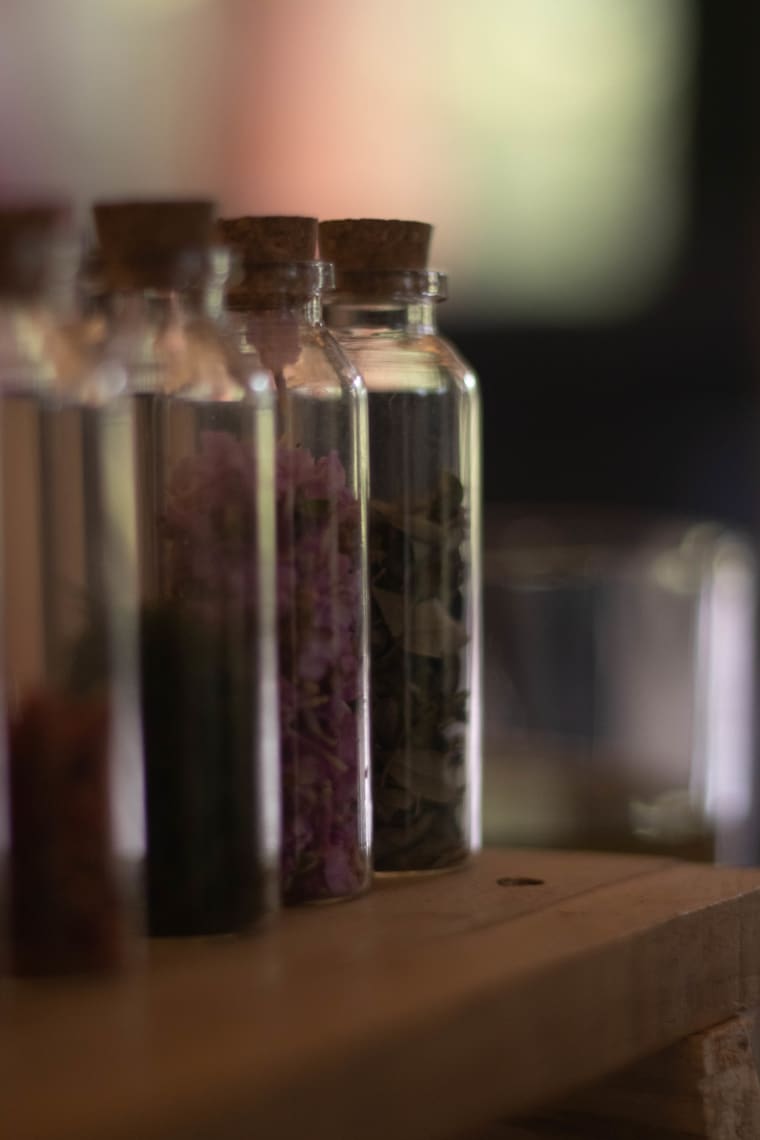 Talleres "Espíritu Nativo": conectando con las plantas desde la raíz