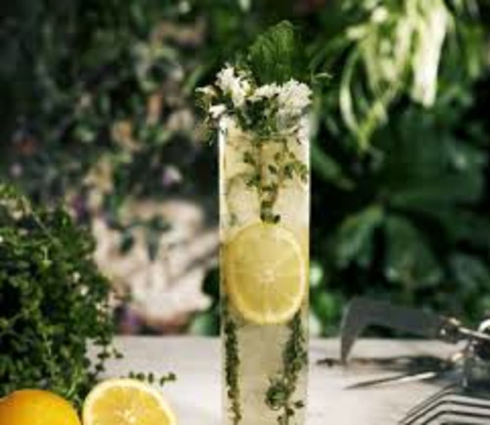 Elderflower Collins