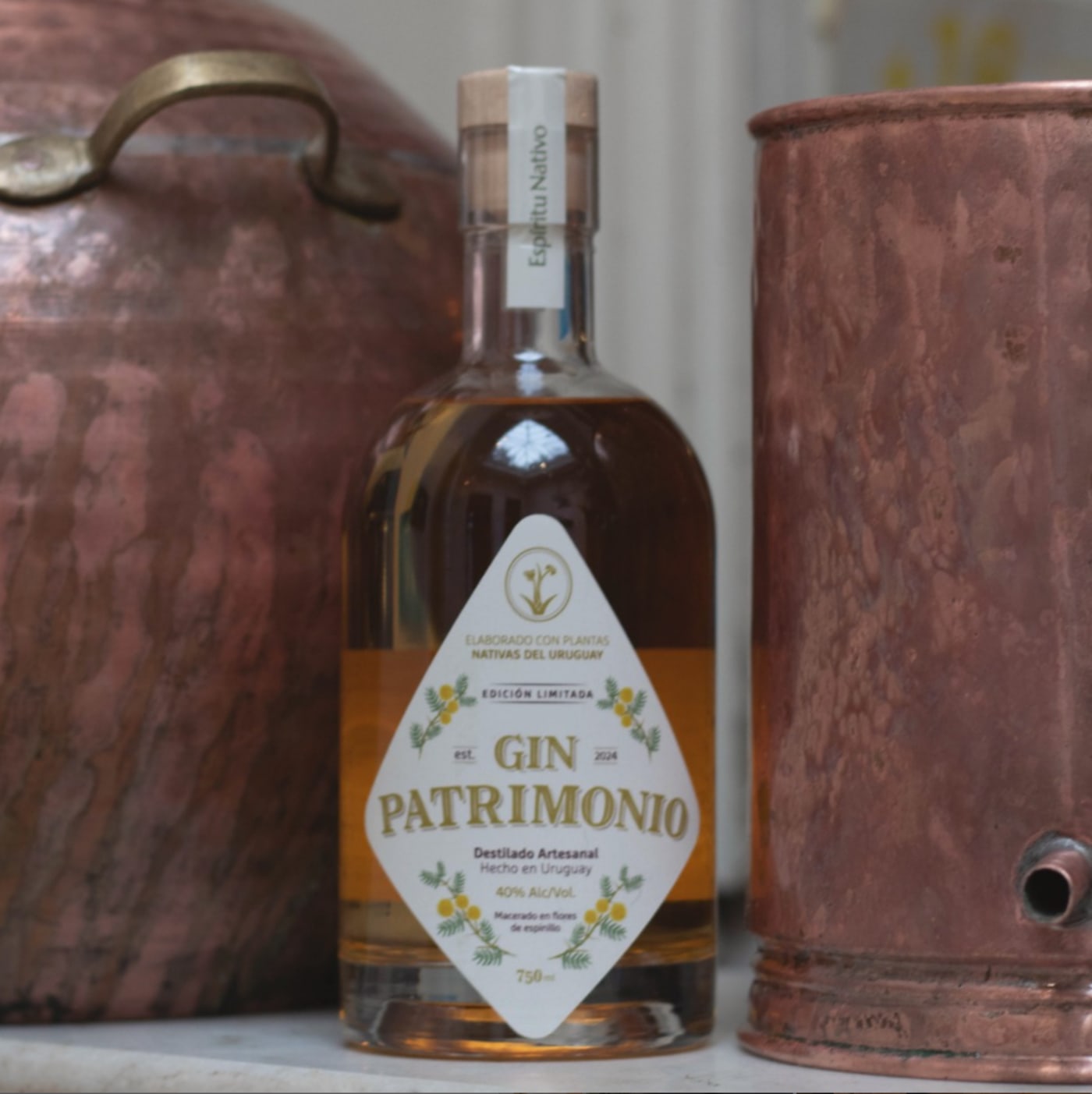 Gin Patrimonio Espinillo 24