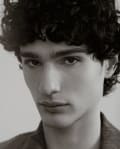 Addison Stender