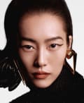 Liu Wen