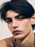 Santino Calvani