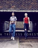 A Treeless Forest for Hopestreet Magazine