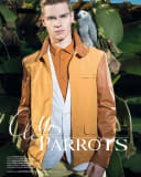 Mr Parrots