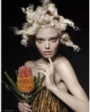 The Flower