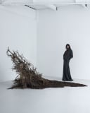 The Outsider Plant