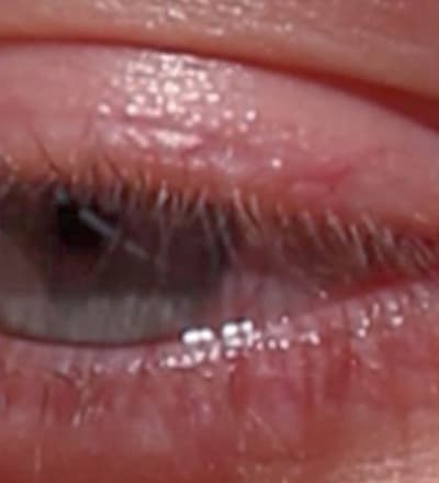 508-white-lies-1.jpg