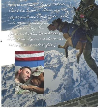 a-dog-is-not-just-for-christmas-7.jpg