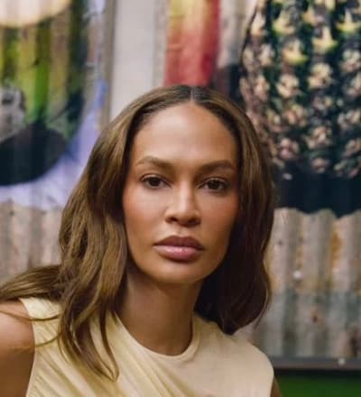 agolde-spring-26-worn-by-joan-smalls-4.jpg
