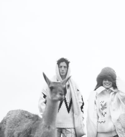 animals-3.jpg