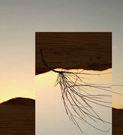 artificial-nature-7.jpg