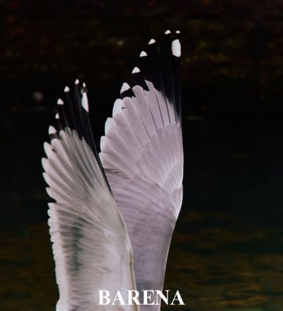 barena-venezia-s-s-25-5.jpg