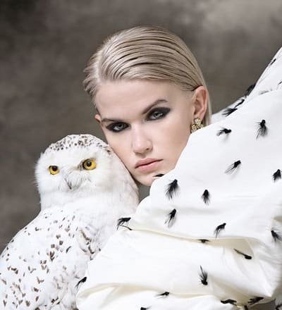 bird-by-christian-ammann-10.jpg