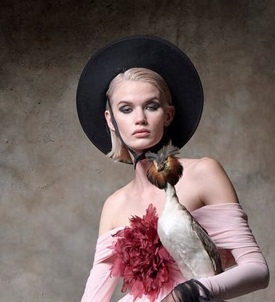 bird-by-christian-ammann-2.jpg