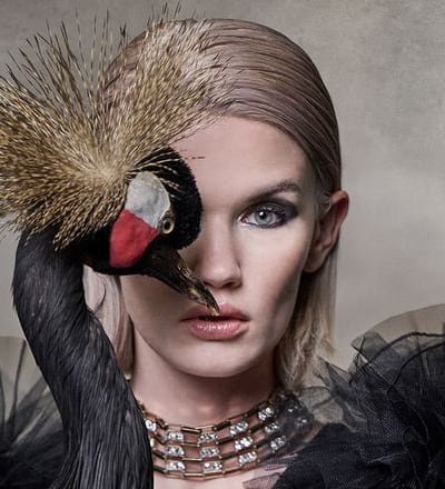 bird-by-christian-ammann-7.jpg