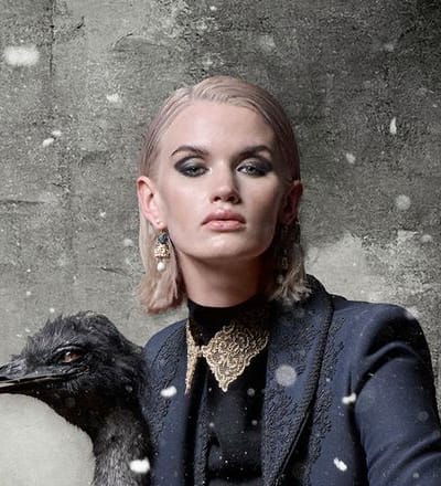 bird-by-christian-ammann-8.jpg