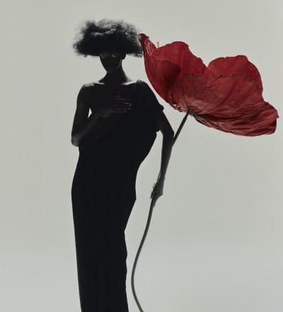 bloom-in-the-dark-by-pascal-brauer-cristiano-temporin-7.jpg