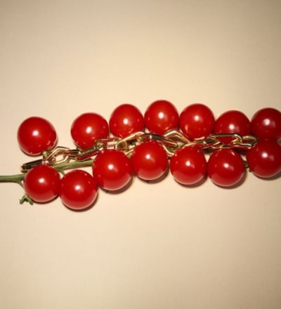 bottega-venetta-13.jpg