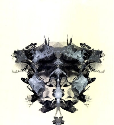 chrysalide-12.jpg