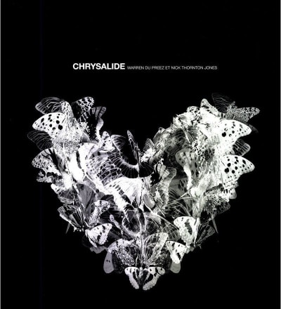 chrysalide-2.jpg