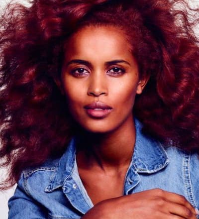 clairol-2017-2.jpg