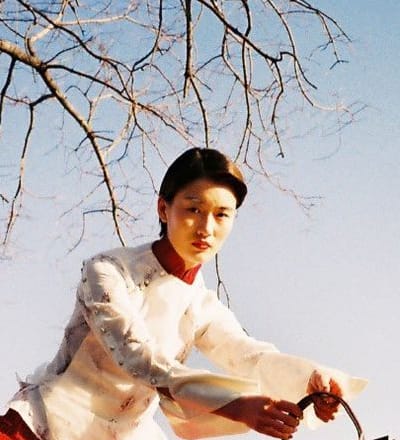 crouching-tiger-hidden-dragon-1.jpg