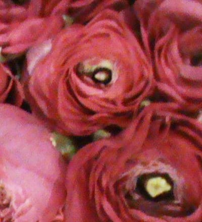 dance-with-flowers-by-funn-5.jpg