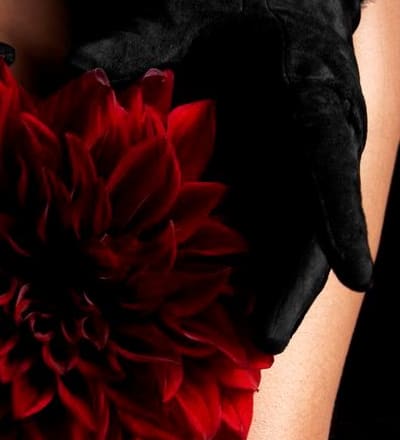 dark-dahlia-for-lofficiel-monaco-2.jpg