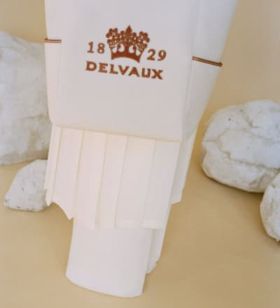delvaux-s-s-21-campaign-2.jpg