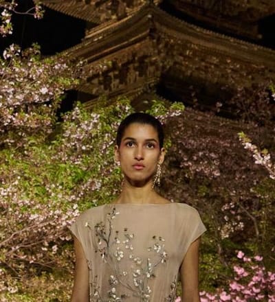 dior-fall-2025-show-kyoto-26.jpg