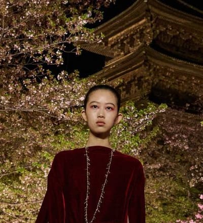 dior-fall-2025-show-kyoto-8.jpg