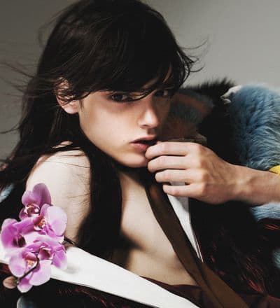 fever-forever-3.jpg
