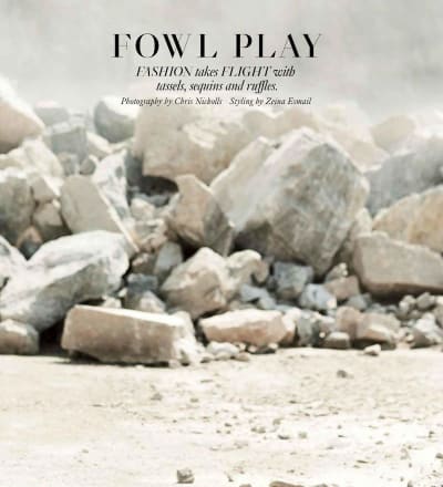 fowl-play-2.jpg