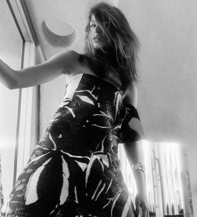 gimme-shelter-1.jpg