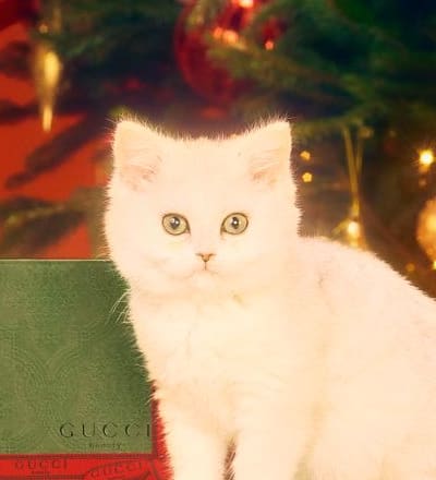 gucci-beauty-digital-holiday-campaign-22-5.jpg
