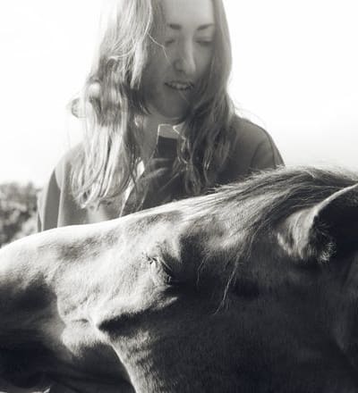healing-power-of-horses-1.jpg
