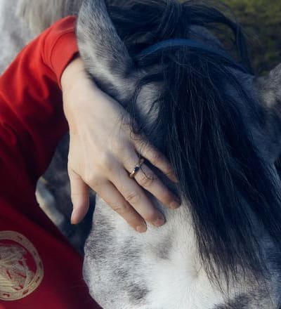 healing-power-of-horses-3.jpg