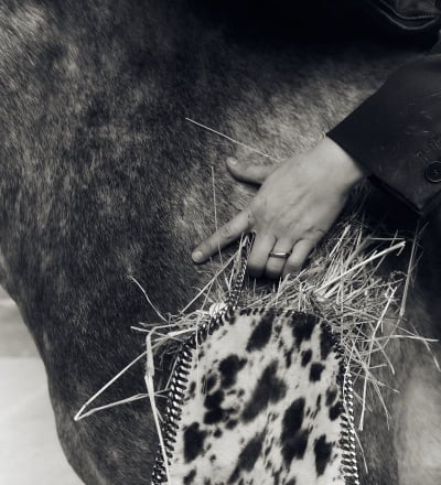 healing-power-of-horses-5.jpg