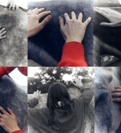 healing-power-of-horses-6.jpg