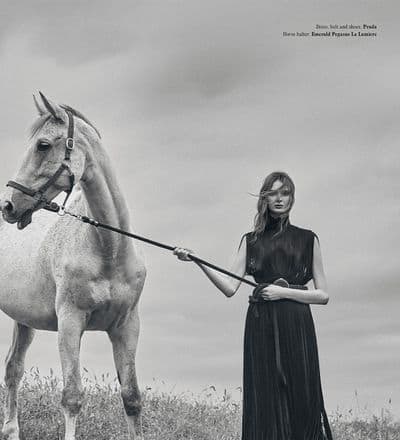 horses-in-my-dreams-2.jpg